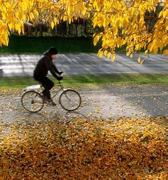 Natur i balans Detta vill vi uppnå till år 2012 16 Allmänt e Skellefteå kommun har tagit tillvara möjligheten till femtioprocentig delfinansiering med bidrag från Naturvårdsverket för inköp och