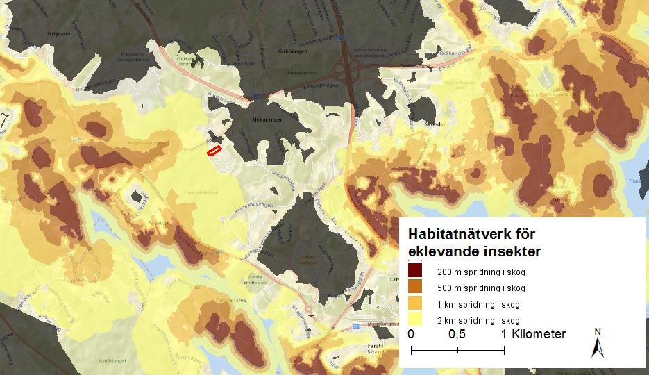 Habitatnätverk Stockholms stad har satt fokus på tre viktiga arter/ artgrupper som är indikatorer för rik biologisk mångfald.