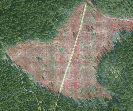 Ytterligare framtid - Ombord bearbetning Areal (ha): 5,25 Antal tot: 6507 Antal / ha: 1239 Efter att ha flugit ett område, direkt få tillbaka resultatet istället för bilderna in i egna system Antal