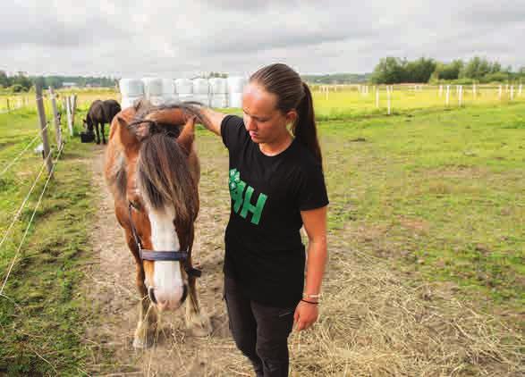 Aktiviteter fr Dejting Karlskrona. I staden kan du finna ett brett utbud av restauranger och andra aktiviteter som kan vara vl lmpade fr frsta dejten. Fr den som Dejting Karlskrona | Hitta krleken bland singelfrldrar