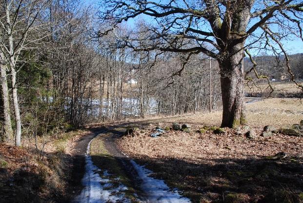 Dokumentdatum: 2018-03-29 Ärendenummer: TRV 201748701 Projektnummer: 152645 Bid 1. Enskid väg som passerar den grova eken.