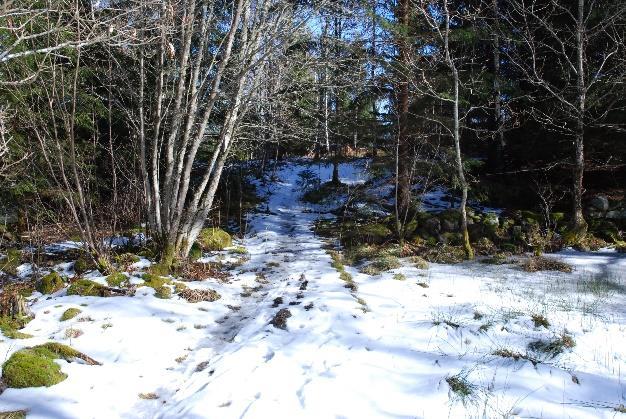 Biden tagen mot norr Naturvärdesbedömning Området har åga naturvärden och inget deområde kassas som kass tre eer högre.