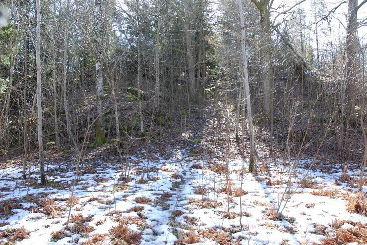 Dokumentdatum: 2018-03-29 Ärendenummer: TRV 201748701 Projektnummer: 152645 i det föjande. I naturvårdsutåtandet finns även den östiga sträckningen beskriven.
