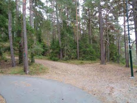 Det vore bra att ha fler vägvisningsskyltar längs promenaden, särskilt vid vägskäl.
