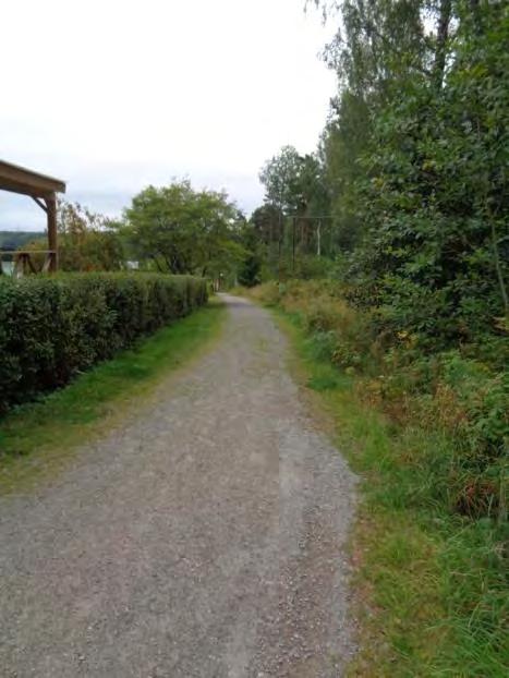Inventeringsrapport Stendalspromenaden 7 HUR SER PROMENADEN UT? Kvarnhagen - Albykistan Strax efter parkeringen vid Kvarnhagen mot Albykistan blir stigen brant.