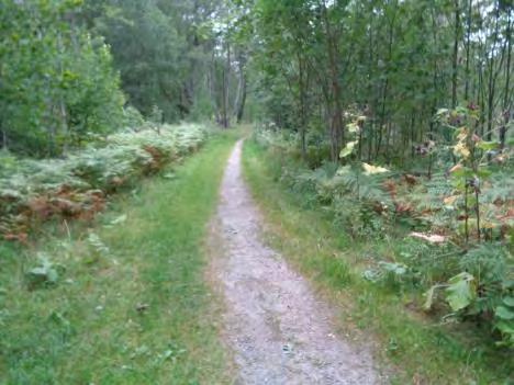 Cykelvägen varierar mellan 1-3 grader. När promenaden går under Hågelbyvägen är lutningen på båda sidor ca 4.