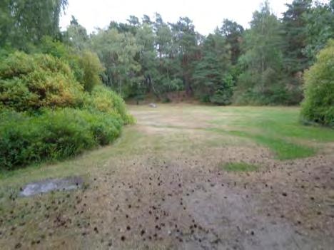 Men underlaget är bra på GC-vägen (bild 22) så komplettera gärna med ledstråk. Även ljudkällor kan användas som vägvisning för synskadade, t.ex. vindspel eller bjällror.