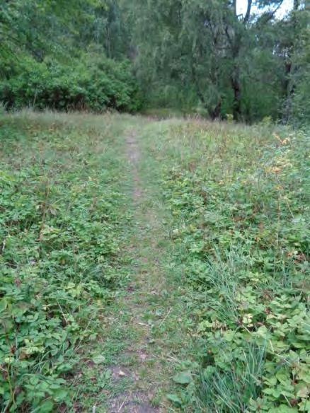 Bild 21: Flottsbro Bild 22: GC-väg mellan Flottsbro och Stendal Sträckan genom skogen är svår att åtgärda då det är en mycket kuperad naturstig (bild 23) För dem som har