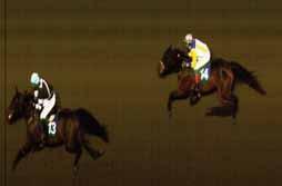 Joe Frazer Damhus* 18,6 (88), Red Queen 18,8 (412), Jessie McKee 22,2g (95), Whostopsthetrain ug (244). Segr. v 8 år e. Indian Silver-Isabella Spin. Äg-Uppf. Larsson Egon, Vara. Trän.