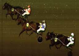 Park Avenue Joe-Ha Nienke Quick. Äg. Granton Stables NV, Belgien. Uppf. Westerhuis H, Nederländerna. Trän. Lövgren Joakim, Skurup. Huvud. Odds: 3,27. Plats: 1,39-2,00-1,78. Tvilling: (1/4) 16,00.