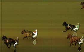 Struken: Peace Photo. Segr. v 8 år e. Carmody Lobell-Vendetta M.S.. Äg. Mölleberga Stuteri. Uppf. Hansson Stig & Margareta. Trän. Hansson Stig, Staffanstorp. 1 längd. Odds: 21,86.