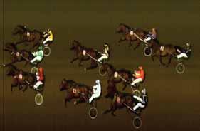 TISDAG 28 SEPTEMBER Lopp 10. Amatörcupen - Företräde Jägersro Alla, körda av B-D- eller F- licensinnehavare. 2140 m. Tillägg 20 m vid vunna 69.000 kr, 40 m vid 149.000 kr, 60 m vid 639.000 kr. Pris: 30.