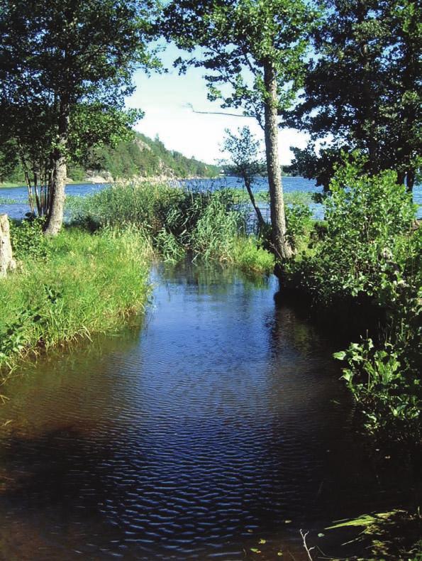 Kustvattenstatus Västerviks kommun Hörtingerumsån
