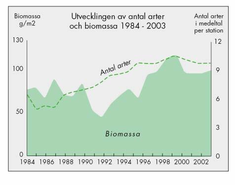 Inom ett begränsat område i Verkebäcksviken finns höga till mycket höga halter av arsenik, koppar, krom, kvicksilver, molybden, bly och zink.