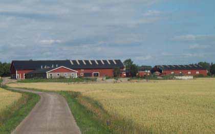 Kväve, fosfor och organiskt nedbrytbart material når vattendragen från gödselvårdsanläggningarna. Men vid disk i mjölkrum nyttjas numera ofta fosfatfria tvättmedel.