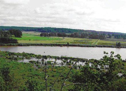 Tidigare våtmarker kan återskapas, i diken kan lokala fosforfällor eller fångdammar grävas eller dämmas upp och på låglänt betes- eller åkermark vid grävda och rätade bäckar kan