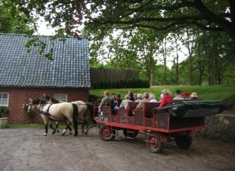 Dag två, det efterlängtade besöket på Lüneburger Heide, var resans verkliga höjdpunkt!