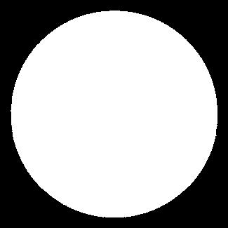 FÖR ÅR 2012 N R F