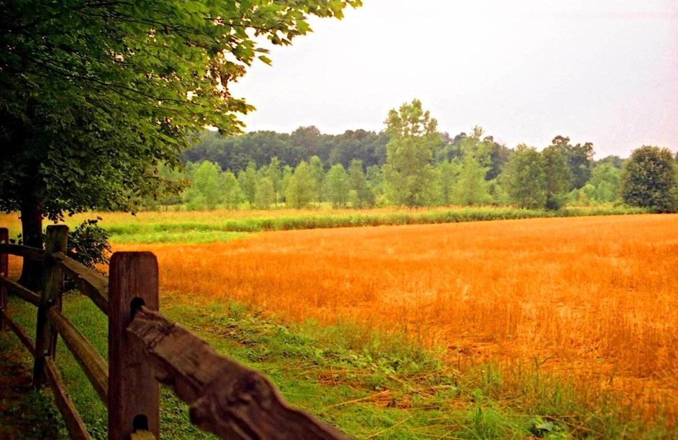 förhållande, är mer än skamligt och ett brott mot mänskliga rättigheter, inga kommunala myndigheter anstränger sig nämnvärt i denna frågan, de ser åt ett annat håll, det är ju smidigast så.