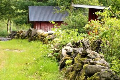 Sommaridyll Foto Egon R. Att se möjligheter, är ett bra sätt att gå vidare till nya tänkbara mål, var så jag avslutade förra Medlemsbrevet med och visst är det så - Livet är här och nu!