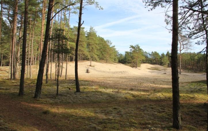 Naturen övergår från odlingslandskap