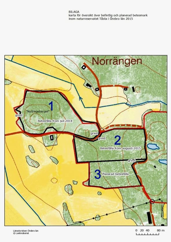 Inventering av Nyttingeberget och omliggande skogsområden inom Tåsta naturreservat Text och bild: Herbert Kaufmann.