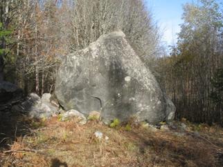 1 Område 1 (Nyttingeberget) Områdets mest framträdande del kallas allmänt Nyttingeberget och ligger som allra västligaste del inom Tåsta Naturreservat.