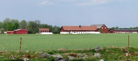 Götala nöt- och