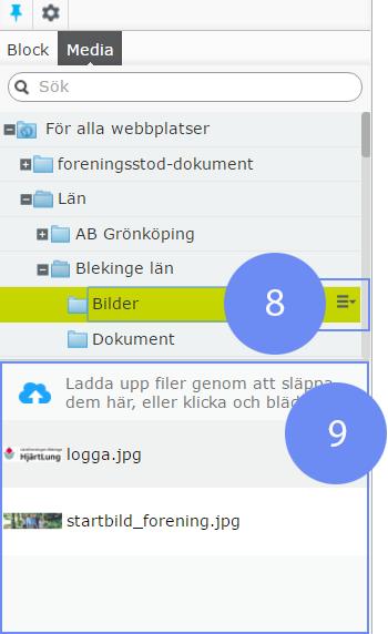 Media Med media avses i EpiServer filer, t.ex.