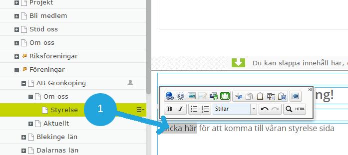 Interna länkar Du kan lägga in 4 olika sorters länkar i texteditorn; Intern länk, Extern länk, länk till dokument samt epostlänk. Markera texten i editorn som ska bi en länk och klicka på länkikonen.