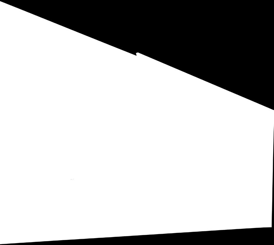 Neptolux 55