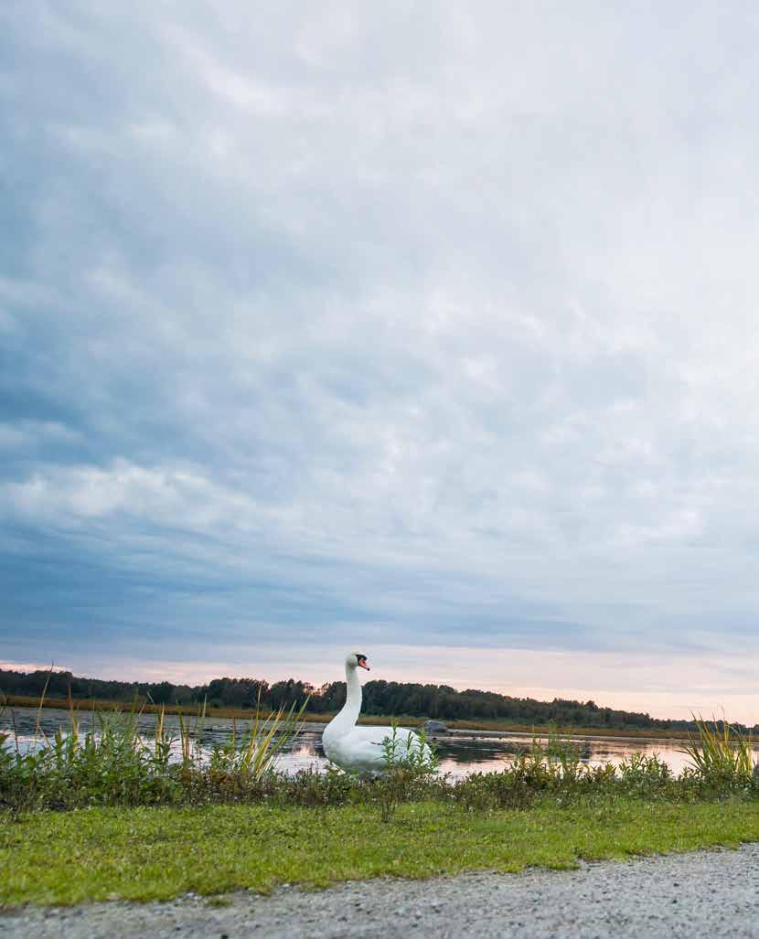 30 NATUREN Natur och friluftsliv finns alltid nära till hands när du behöver en paus i pluggandet.