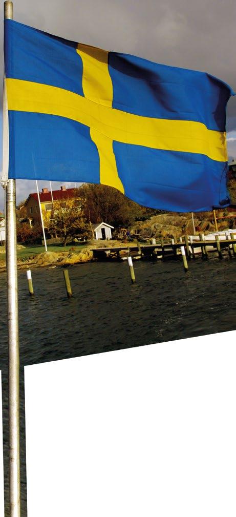 00 Kontakt: 08-751 51 90, akallaby.se RINKEBY TORG Nationaldagsfirande med musik, dans och poesi. En folkfest för hela familjen.