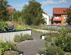 Grönskande tak på hus runt en kringbyggd gård kan bidra till att sänka bullernivån på gården eftersom ljudet måste ta sig över taket för att komma in på gården.