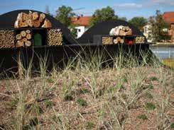 Här har vi även valt att kalla det rabatt istället för perennplantering eftersom en naturlik plantering med stor sannolikhet består av perenna växter och det annars kan vara svårt att klassificera