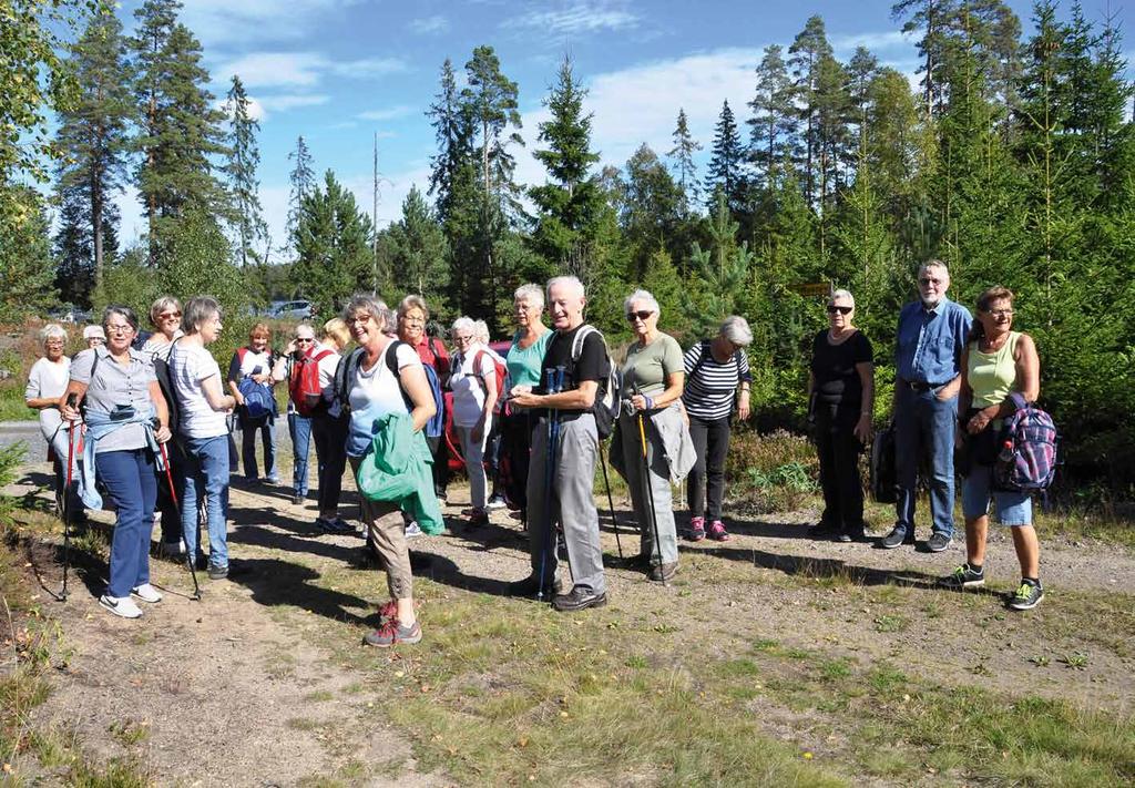 Din hälsa i trygga händer Bra Liv Senior På de flesta av våra