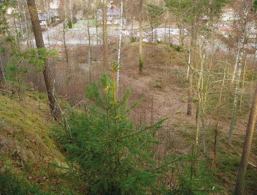 En boplats från äldre stenålder vid Uddevallas inlopp 11 Tidigare undersökningar Inför upprättande av ny detaljplan för områdena Amme näs och Skäret gjordes år 2000 en arkeologisk utredning ( Lundin