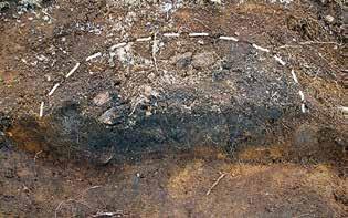 I ruta R469 framträdde härden i stick 3, motsvarande övre skiktet av det sotiga Figur 20. Bilden visar profil av en härd, A1530 ( jämför figur 23 ).