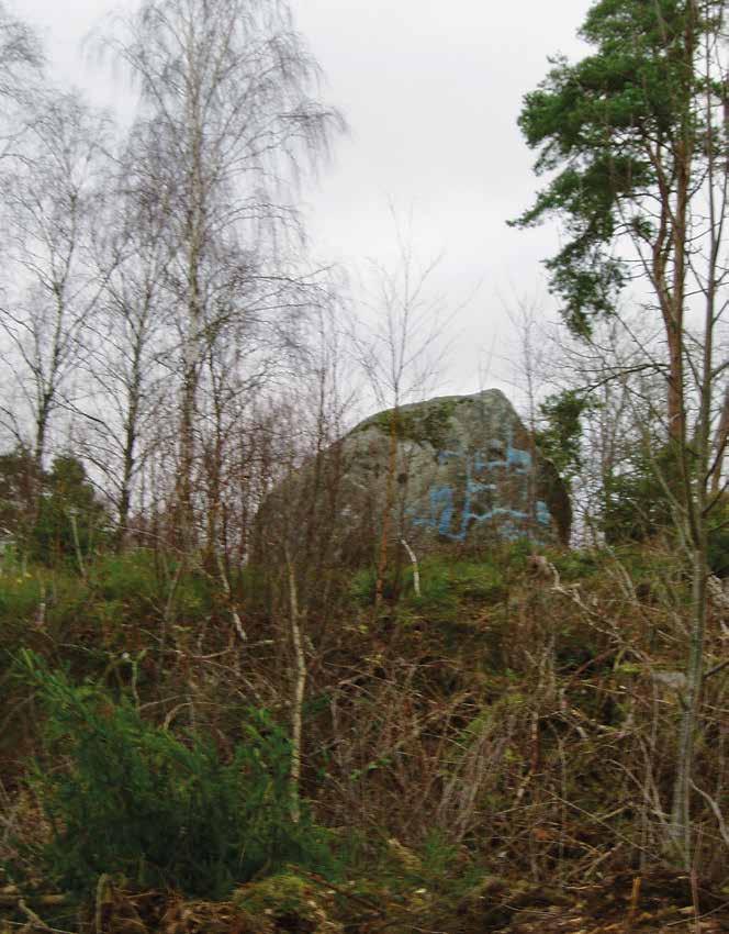 36 Bohusläns museum Rapport 2015 :25 Figur 37. Bilden visar ett stort iögonenfallande stenblock som låg toppen av en bergknalle strax öster om boplatsen ( se även figur 6 och rapportens baksida ).