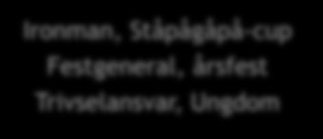 Styrelsen 2018 Uppdragsbeskrivning från styrelsen: Lukas Nilsson Ordförande Martina Nilsson Vice Ordf.