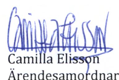 Tiden för överklagande av avslagsbeslutet gick ut den 21 juni 2018.