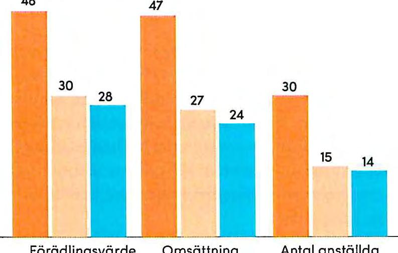 Bolagens utveckling följs under en fyraårsperiod, från bokslutet 2012 till bokslutet 2016. Förädlingsvärde är ett mått på den sammanlagda värdeökningen som producerats av ett företog.