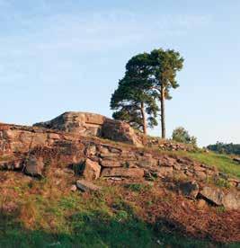 sights of interest Fornlämningar Ancient remains EDSBONDENS FORNBORG Slottsbron Rester av en forntida förskansning. Edsbonden ligger högt med en fin utsikt över Åsfjorden i Vänern.
