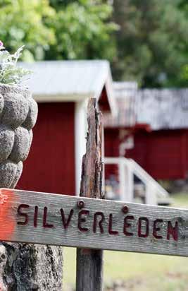 aktiviteter && utflykter 6. BOKHULT 1 KM och 1,5 KM Borgvik I Borgvik ligger en av Sveriges nordligaste bokskogar.