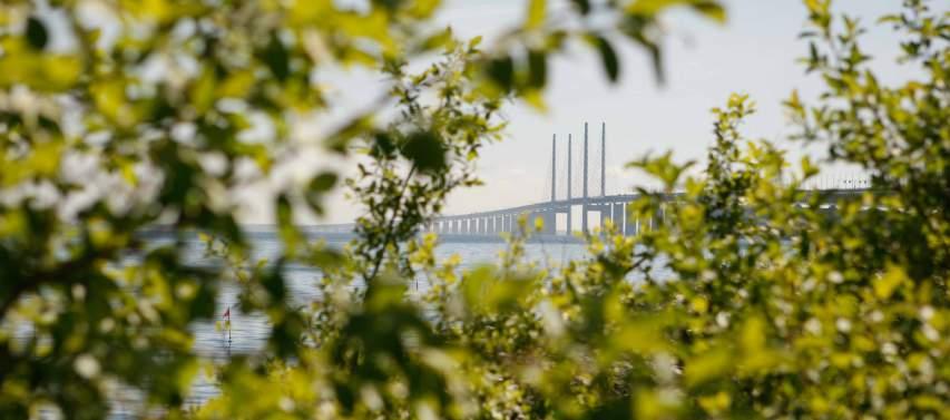 Den primära målgruppen för rapporten är våra viktigaste intressenter, till exempel kunder, samarbetspartners och medarbetare. Øresundsbrons CSR-arbete under 2017 omfattar hela företaget.