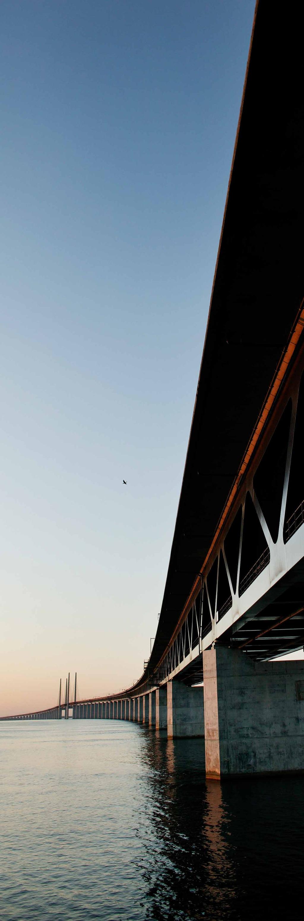 BILAGA Specific Standard Disclosures Ämnen och indikatorer valda av organisationen Ledningsparametrar Sida i Årsredovisning Sida i CSRrapport Översiktligt granskat av bolagets revisor G4-DMA 8, 9,