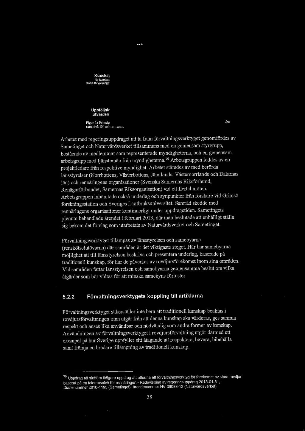 Mål Toleransnivå, m~rrov~1ur / e "-. kunskap ma "... Ny kunskap g :. - Beraknad och tillfofs fl!rv!illpingen t ~ uppska_ttilp 'förlust - ~v 1e11a1' pga ru"djur Uppföljning/ i ] utvärdering ~.