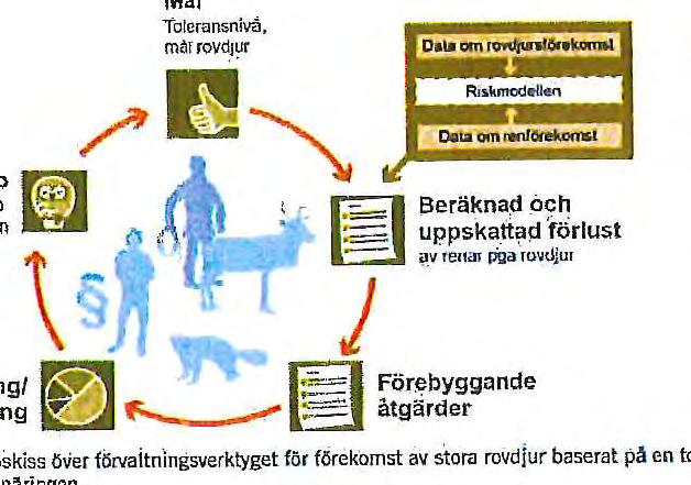 Arbetet med regeringsuppdraget att ta fram förvaltningsverktyget genomfördes av Sametinget och Naturvårdsverket tillsammans med en gemensam styrgrupp, bestående av medlemmar som representerade