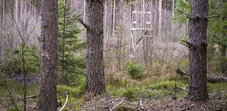 vattendragen i