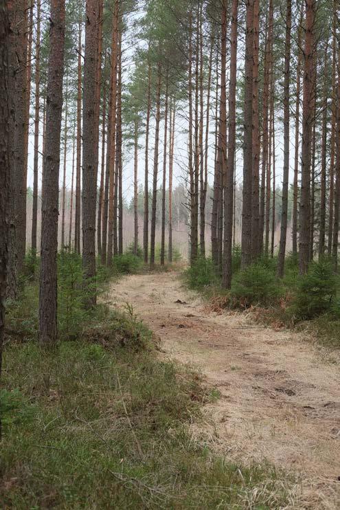 Befintlig